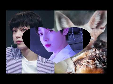 ♬ Chamber5 - Kim Sunoo (focus voice)