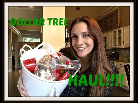 DOLLAR TREE HAUL: November 2015 ORGANIZATION + MORE!!  CHATTY Video