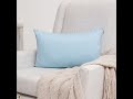 Throw Pillow Cozy Soft Microbead Sweat Baby Blue