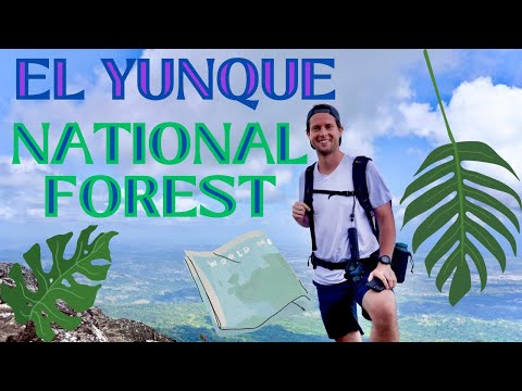 PUERTO'S RICO'S YELLOWSTONE | Exploring El Yunque National Forest + Why Tickets Are Required 🥾 🏞️ 🎒