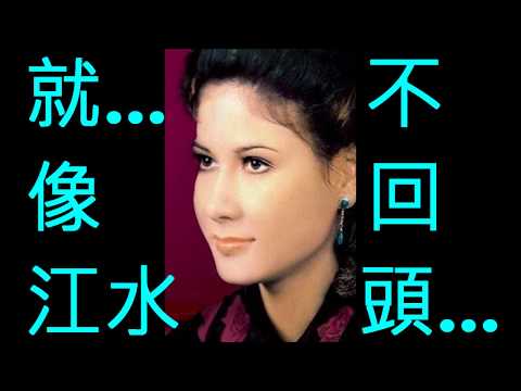 NO:229 誓言- 甄妮 (國語) (娛己娛人卡拉OK) - 特大字幕MV