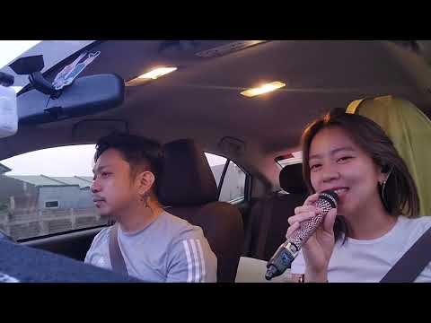 I Just Fall In Love Again - Anne Murray