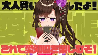 愛知県手帳を合計で3つも買ってしまったので愛知県を踏破したい【雑談】【個人Vtuber】