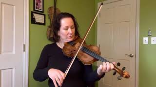 Turkey in the Straw The Waltz