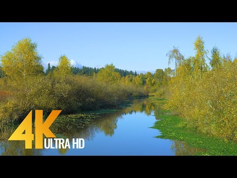 4K Fall Relax Nature Scenery - Autumn Leaves/Fall Colours, Episode #3 - Short Preview