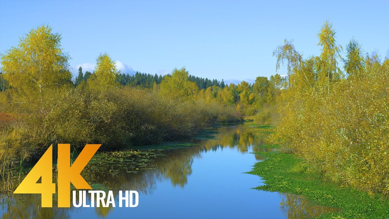 4K Fall Relax Nature Scenery - Autumn Leaves/Fall Colours, Episode #3 - Short Preview