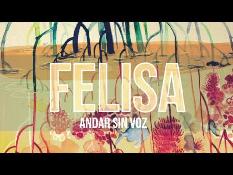 Felisa - Andar sin voz