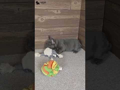 Video 4
