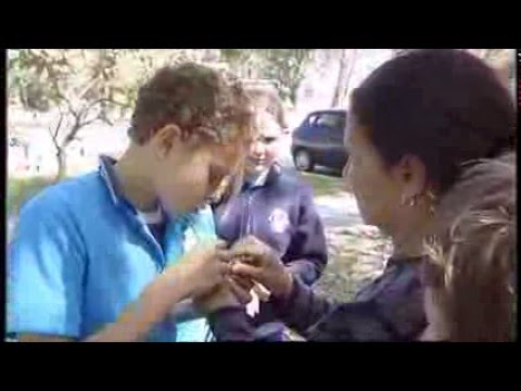 Indigenous Perspectives in primary science: The 5E model- Explore