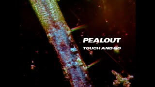 PEALOUT ｢TOUCH AND GO｣  Official Music Video