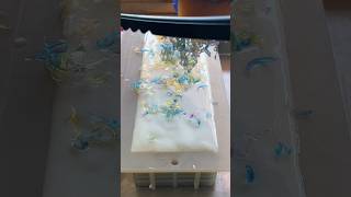 This #cakegate soap is a DISASTER 😫 #cake #soap #soapmaker #rainbow #soapmaking #smallbusiness