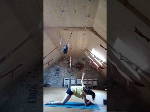 la traverse en torsion (demi-liaison) parivritta (ardha baddha) parighasana