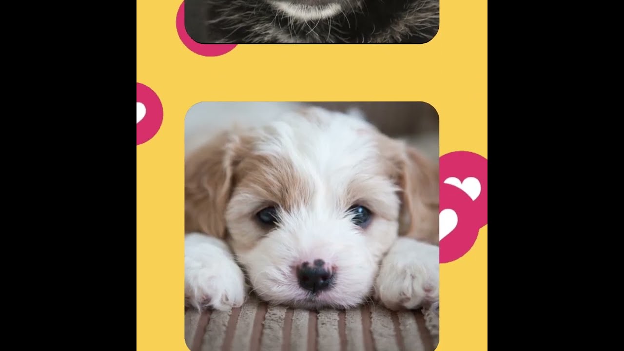 Application Art Explora Academy