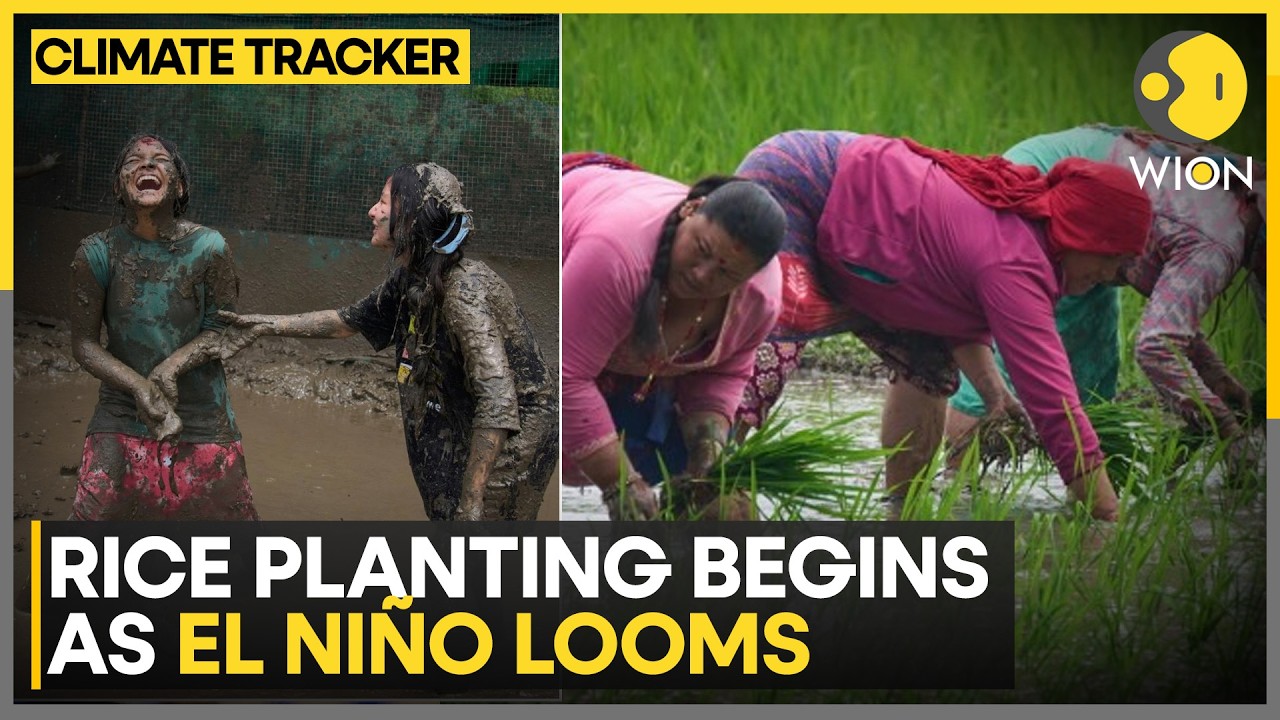 Nepal Braces For Below-average Rainfall | Climate Tracker | WION News