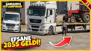 MASSEY'İN ESKİ AMA GÜÇLÜ TRAKTÖRÜ GELDİ! | ŞANLIURFA GERÇEK HAYAT | FS25 S9 B31