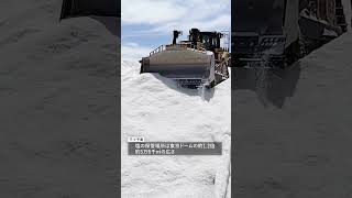 瀬戸内海に浮かぶ「真っ白い島」　正体を確かめに上陸 #瀬戸内海 #呉市 #真っ白 #謎 #shorts