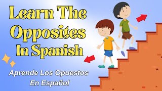 Learn Opposite Words In Spanish | Vocabulary for Kids!