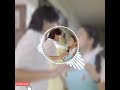 Yen Un Dinon Ki Baat Hai Ninaithale Inkkum BGm No 3 WhatsApp Status