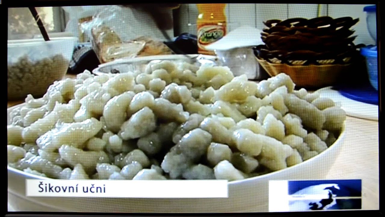 Gastrodni 2012