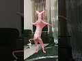 Cat Dancing Bara Bara Bara Shorts