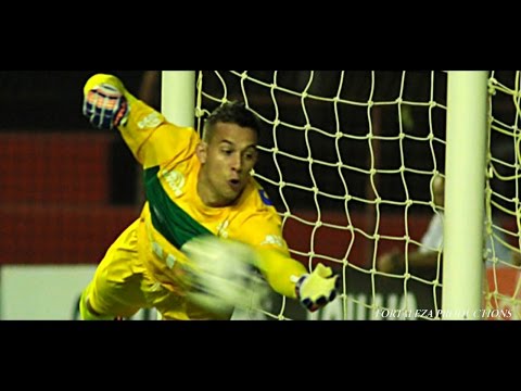 Danilo | Chapecoense 2015-16 | Best Saves Compilation | HD 720p
