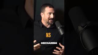 Revolutionize your running with groundbreaking breathing techniques #andrewhuberman #hubermanlab