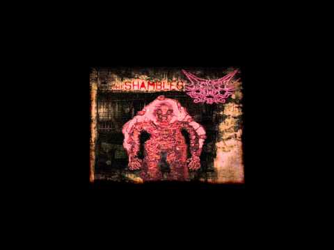 Deformed Elephant Surgery - Pathological Derision [progressive goregrind/brutal death metal]