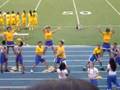 Powderpuff