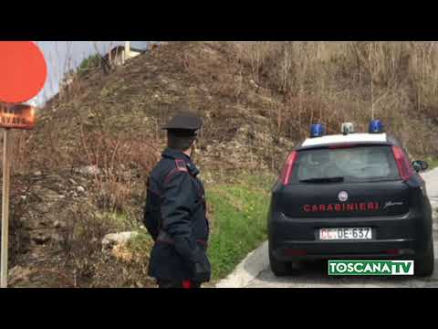 2019-04-11 PISTOIA - TENTA DI DAR FUOCO AD UN BOSCO, ARRESTATO 76ENNE