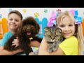 Roma And Diana S New Pet And Other Adventure Stories