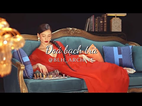 [THROWBACK] Đoá Bạch Trà - BÙI LAN HƯƠNG | OST Gái Già Lắm Chiêu V (2020)