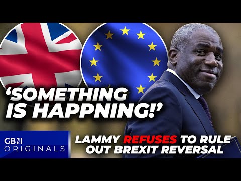 David Lammy REFUSES to rule out Brexit BETRAYAL as key No.10 detail reveals reversal is on the cards