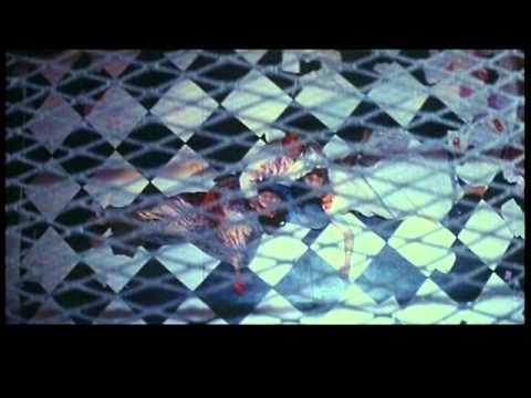 Poster zaalim jahan berang hai