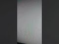 Yo Gabba Gabba Season 1 Intro Brazil Portuguese