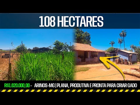 Fazendinha 108 Ha à Venda em Arinos–MG | Plana, Produtiva e Pronta para Criar Gado! R$1.620.000,00