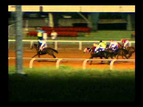 8va. Carrera Jueves 17 de Octubre de 2013 SANTA RITA