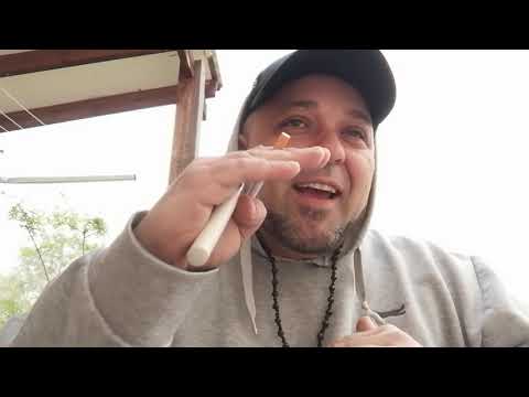 Xarma Stories #2 Lektikos Andy the Ant