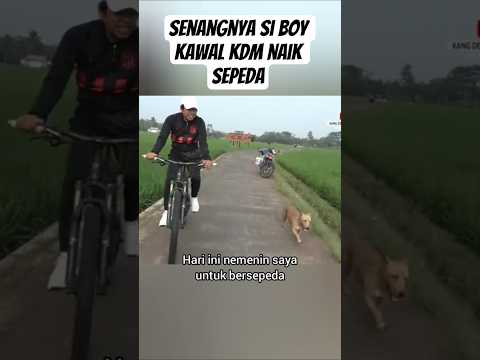 Momen KDM dan Si Boy Pengawal Setia #siliwangiwarrior #kdmsociety #kdmdanboy