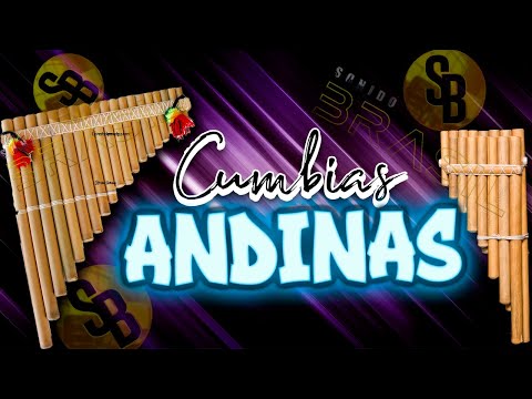 Solo Cumbias perronas 🔥 Cumbias ANDINAS mix 2023 Ft Sonido Brasil
