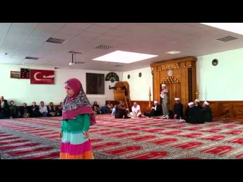 MEVLUD/IMANSKO DRUŽENJE 2014 - Asim ef. Babic - drugi dio predavanja