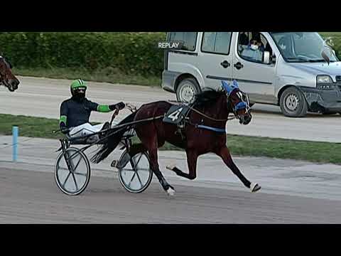 Aversa trotto 16 Gennaio 2021 - 6° Corsa