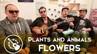 Plants and Animals - Flowers