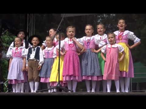 FF POLABSKÁ VONIČKA 2025, č.5/12 - DFS ŠAFRÁNEK, Jablonec n/N