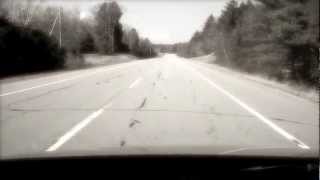 Tiger Lily Hill Video Vignette  - Amanda Rogers