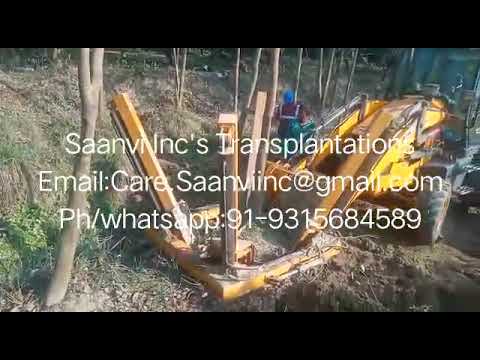 Manufacturer of plant plantations , big tree transplantation...