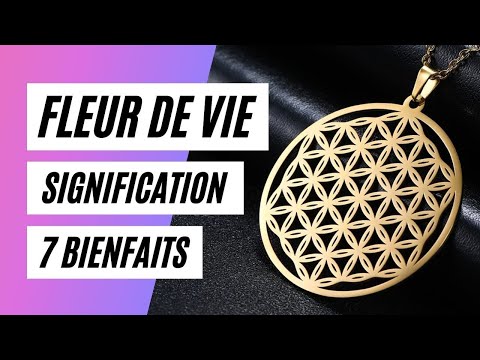 , title : 'Fleur de Vie : Explication et Signification'