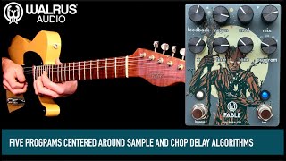 Video thumbnail for Walrus Audio Fable Granular Soundscape Generator by Mike Hermans