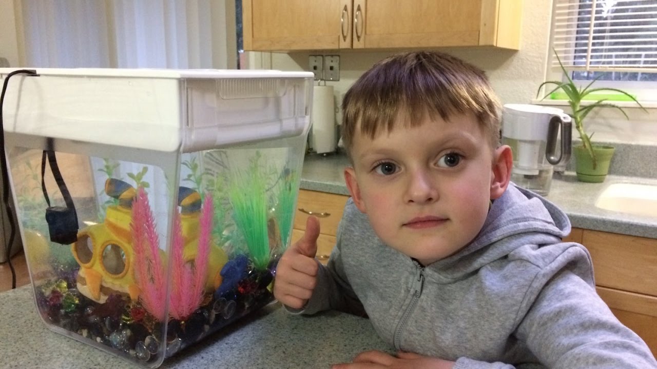 Aquafarm Back to the roots Набор для выращивания растений и ухода за рыбкой