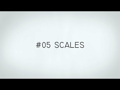 #05 Scales | Music Fundamentals