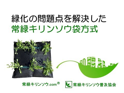 常緑キリンソウ袋方式　緑化の問題点を解決：屋上緑化／壁面緑化／法面緑化など（雨水でOK、雑草対策、土壌流出対策）